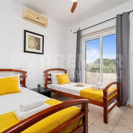 Coral パラリムニ