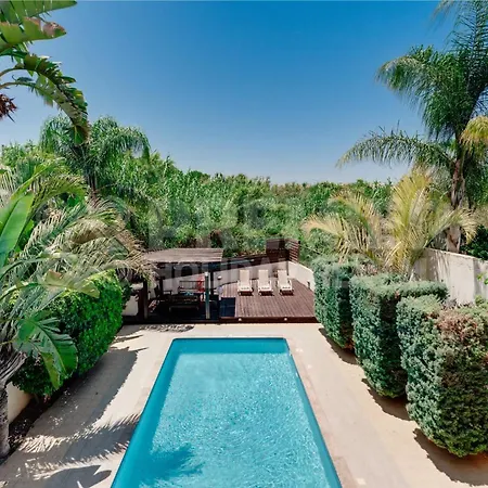 Coral * パラリムニ